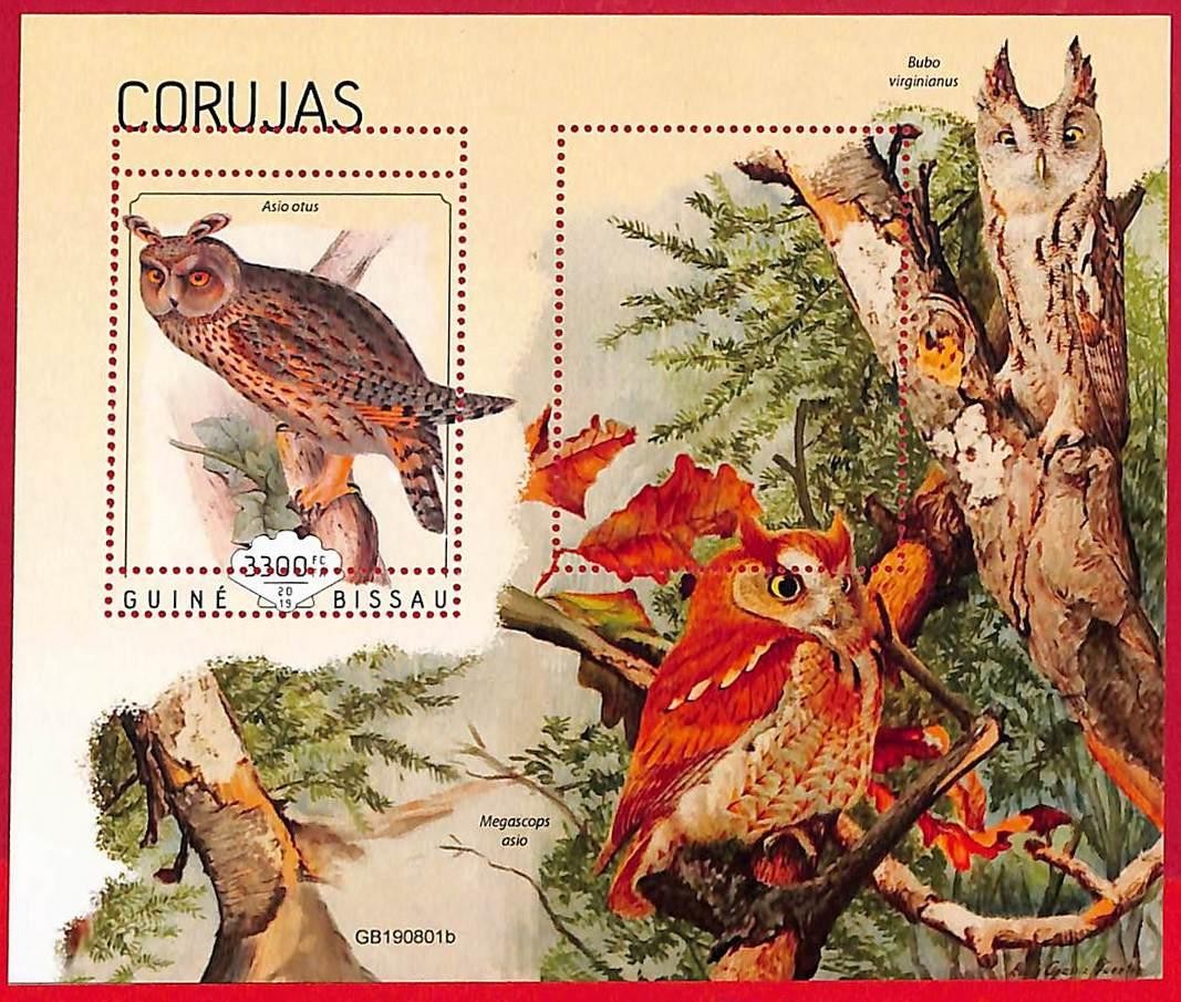 A5292 - GUINE-BISSAU - ERROR MISPERF Stamp Sheet - 2019 - OWLS