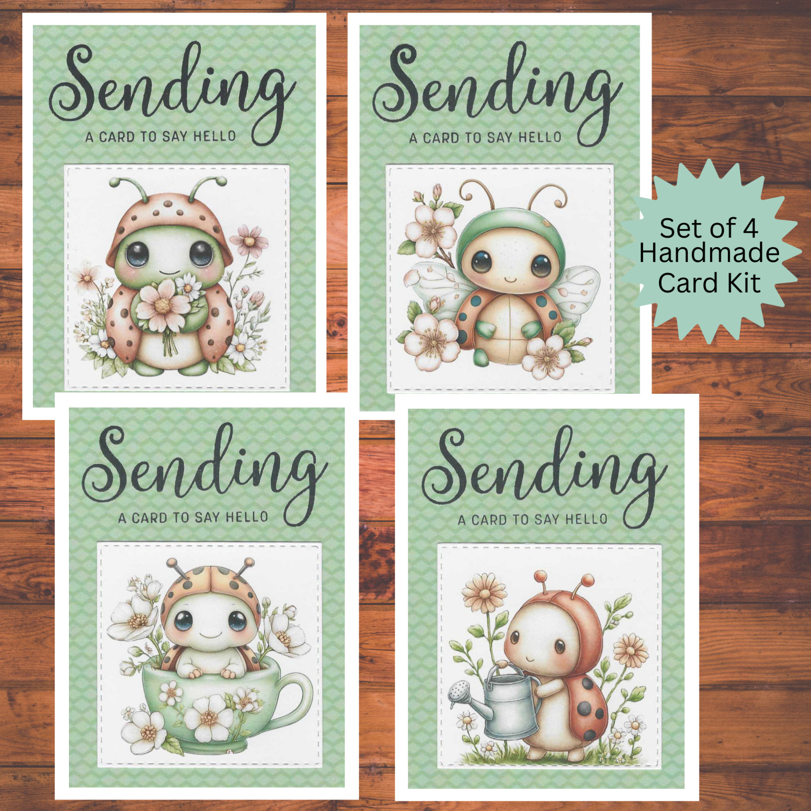 Ladybug Lady Bug Sending Hello Die Cut DIY A2 Handmade Card Kit,4 Cards/Envelope