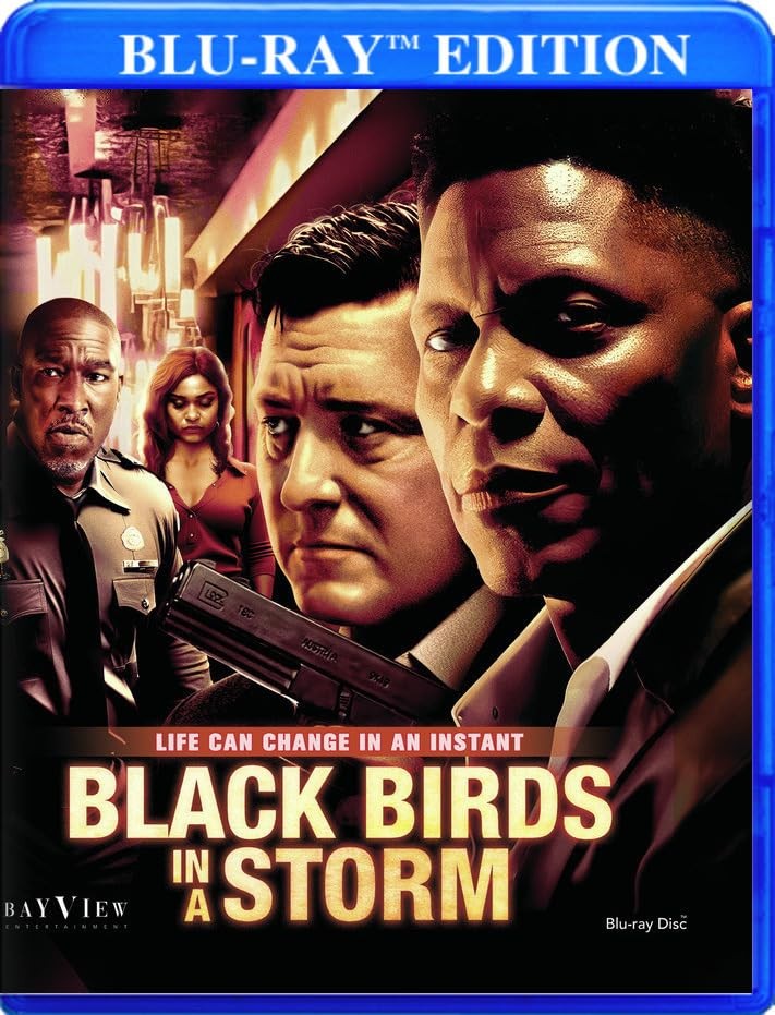 Black Birds In A Storm (Blu-ray) Harold Dennis Jaeden Lieberher Jacob Tremblay