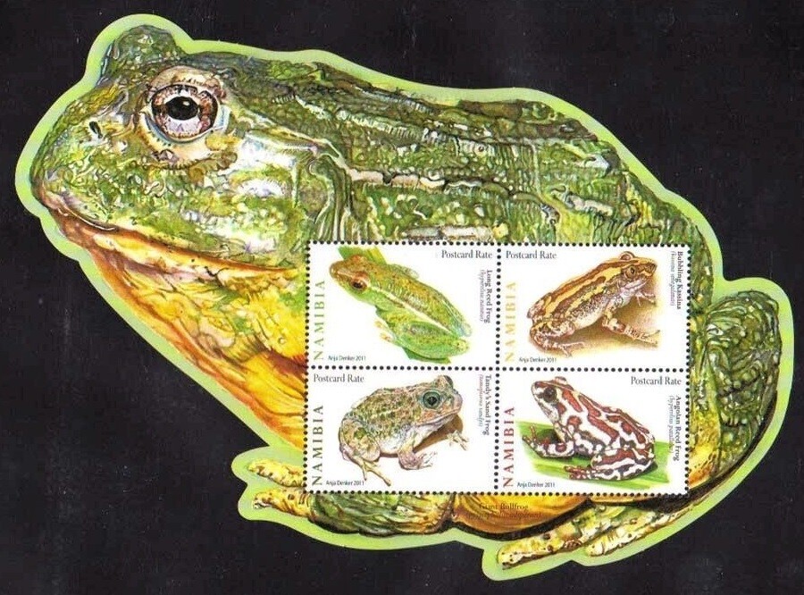 Namibia 2011 MNH Odd unusual Frog Shape SS, Frogs, Amphibians