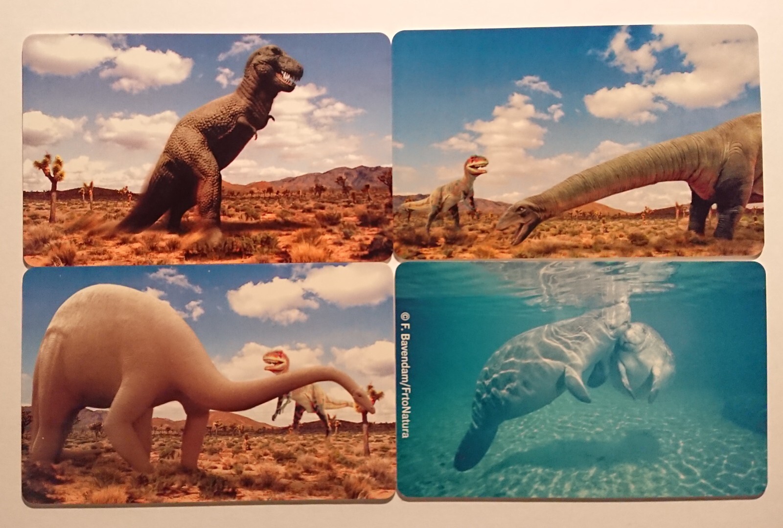 4x Carte de Téléphone Telefonwertkarte à Collectionner Dinosaure Diplodocus
