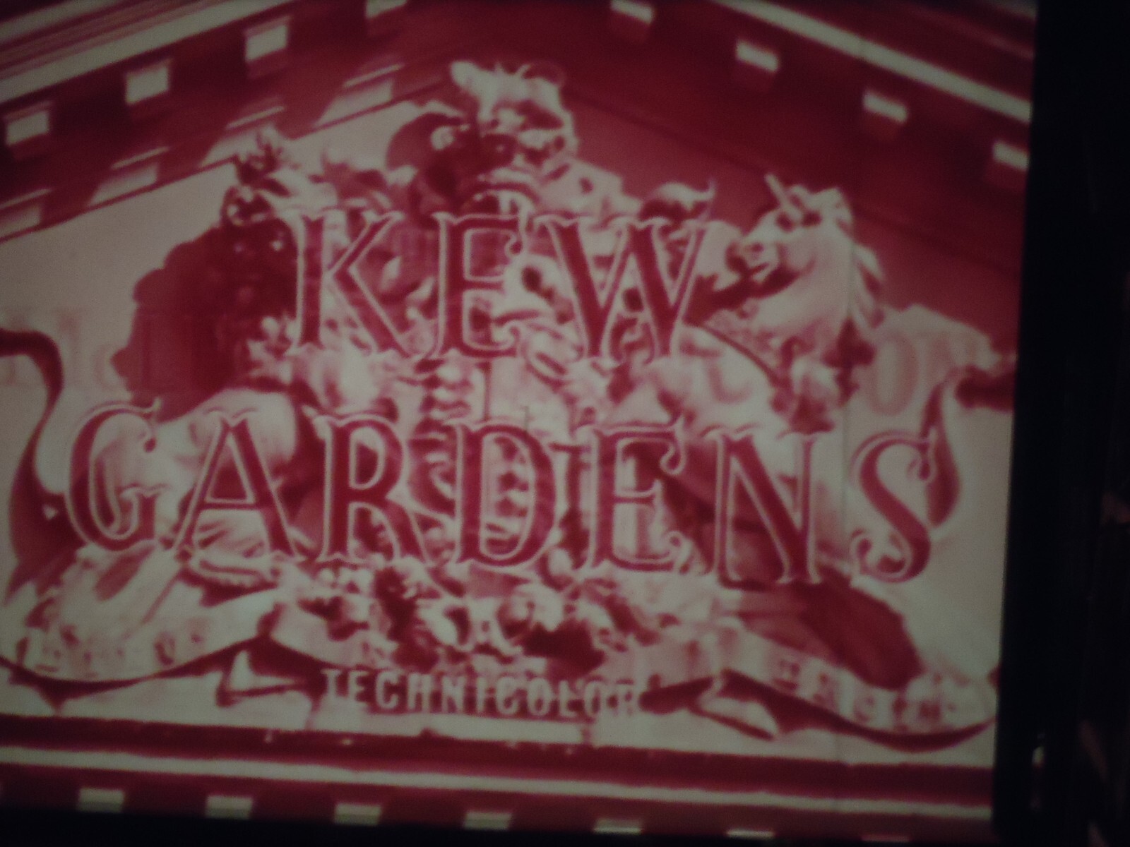 16mm Kew Gardens 800' Faded Color