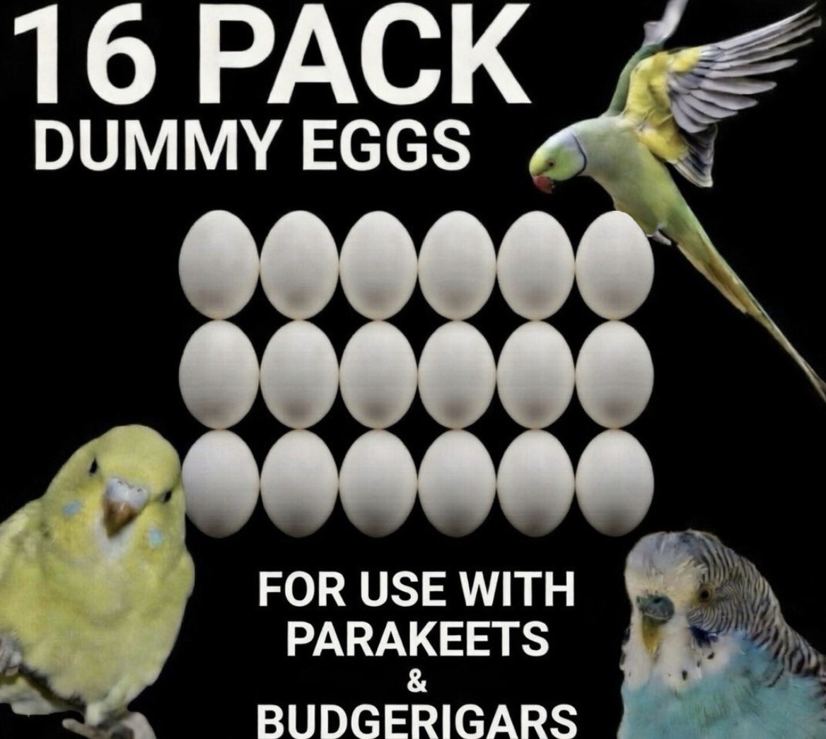 Lot of 16 Parakeet/Budgie Dummy Plastic Nest Eggs to Prevent Egg Laying