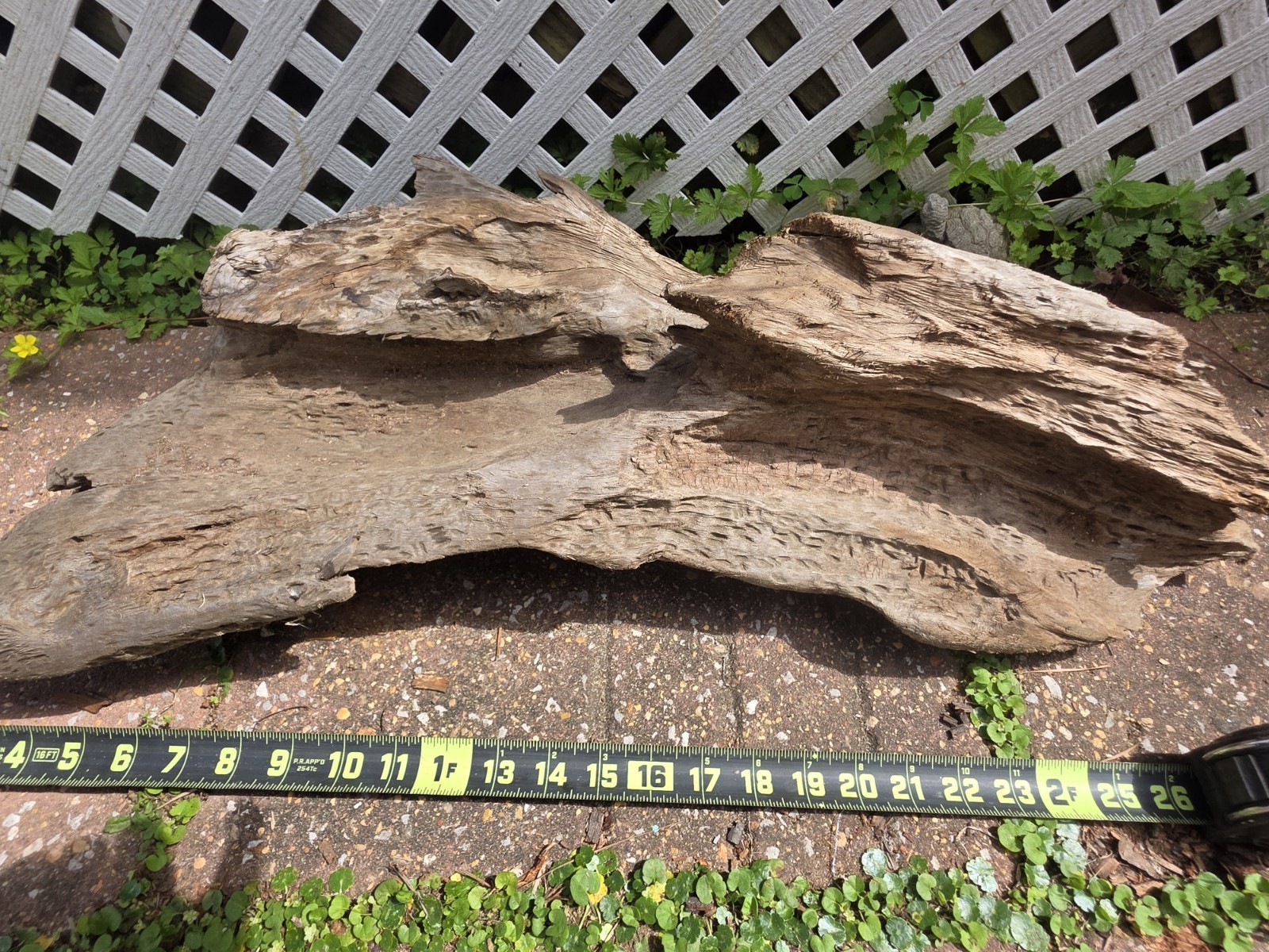 Large Natural Driftwood Pieces for Crafts or Woodworking, 24-28 Inches