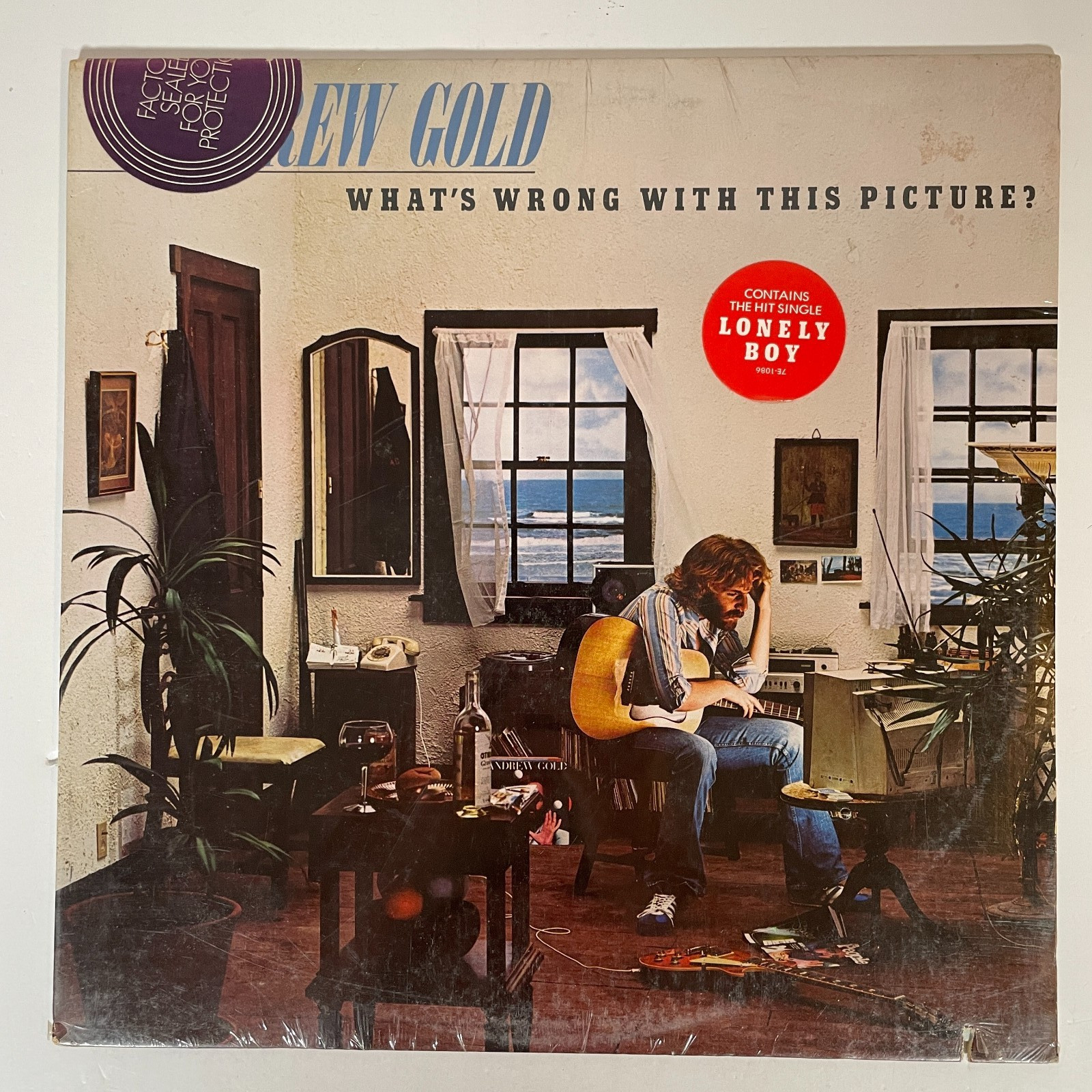 ANDREW GOLD What's Wrong With This Picture? Vinyl LP NEW & SEALED 1976