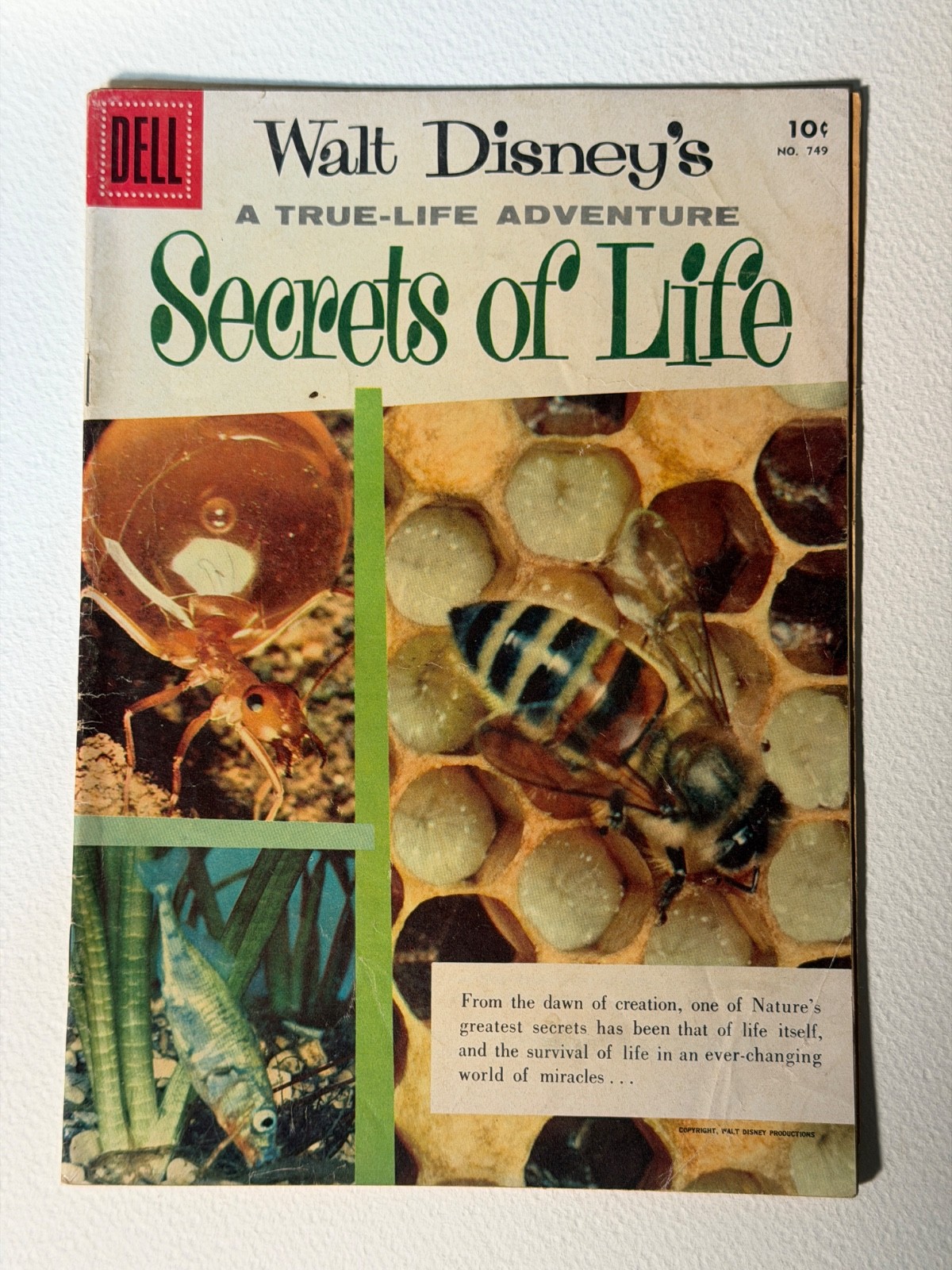 Four Color #749 Walt Disney's Secrets of Life Dell Comics 1956. See Pics