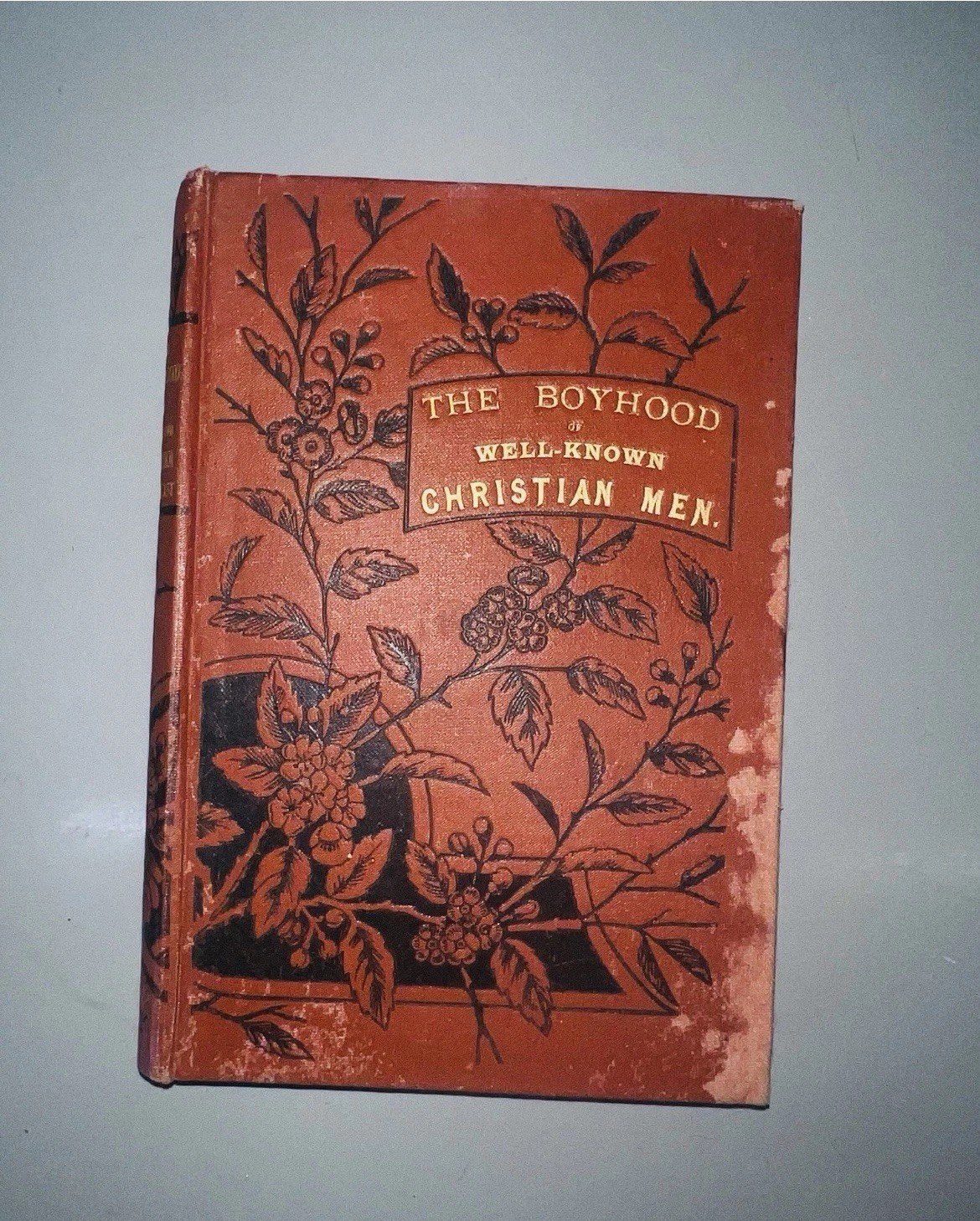 Boyhood of Well Known Christian Men Antique Victorian Hardback Rare Book