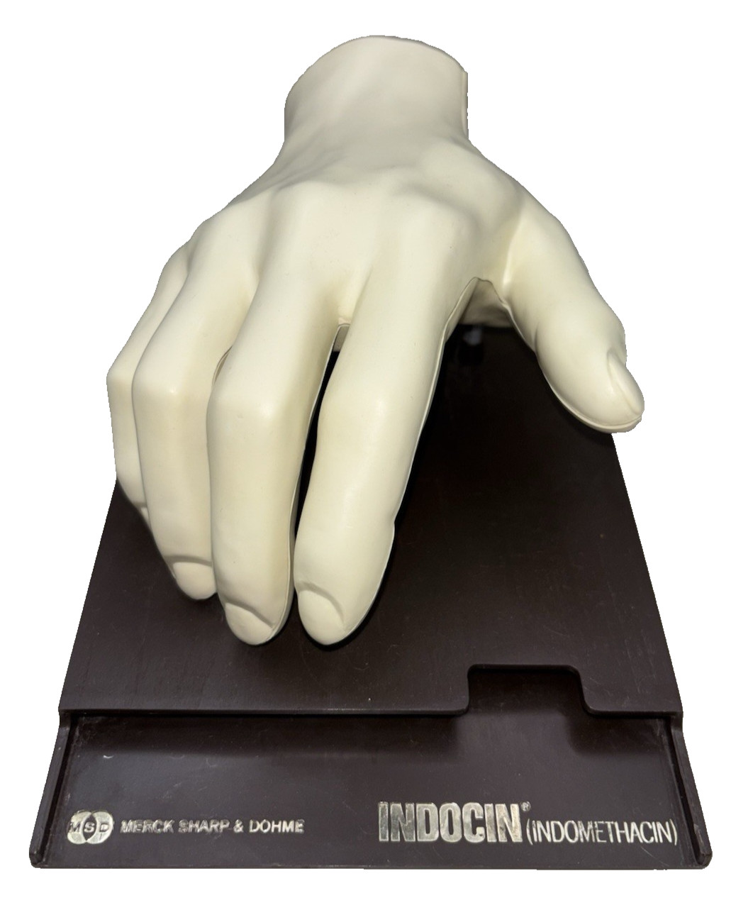 1967 Human Hand Anatomical Display Model Note Holder Merck Sharp & Dohme Indocin