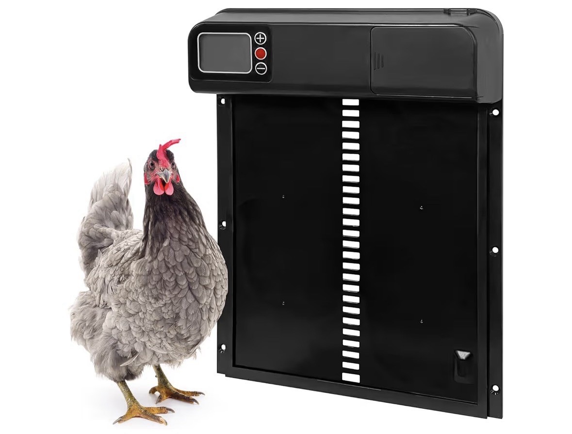 Automatic Chicken Coop Door - Thickening Aluminum, Manual & Timer Mode, Anti…