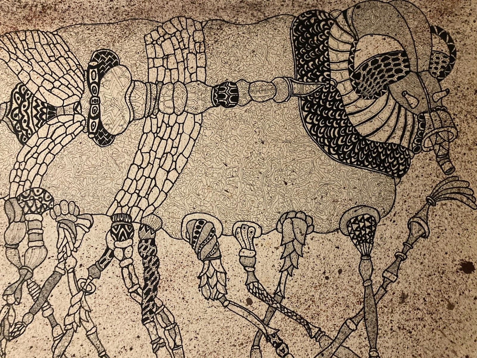 Très Beau Dessin Squelette Insecte 1960 Curiosité Art Encre Surréaliste Ancien