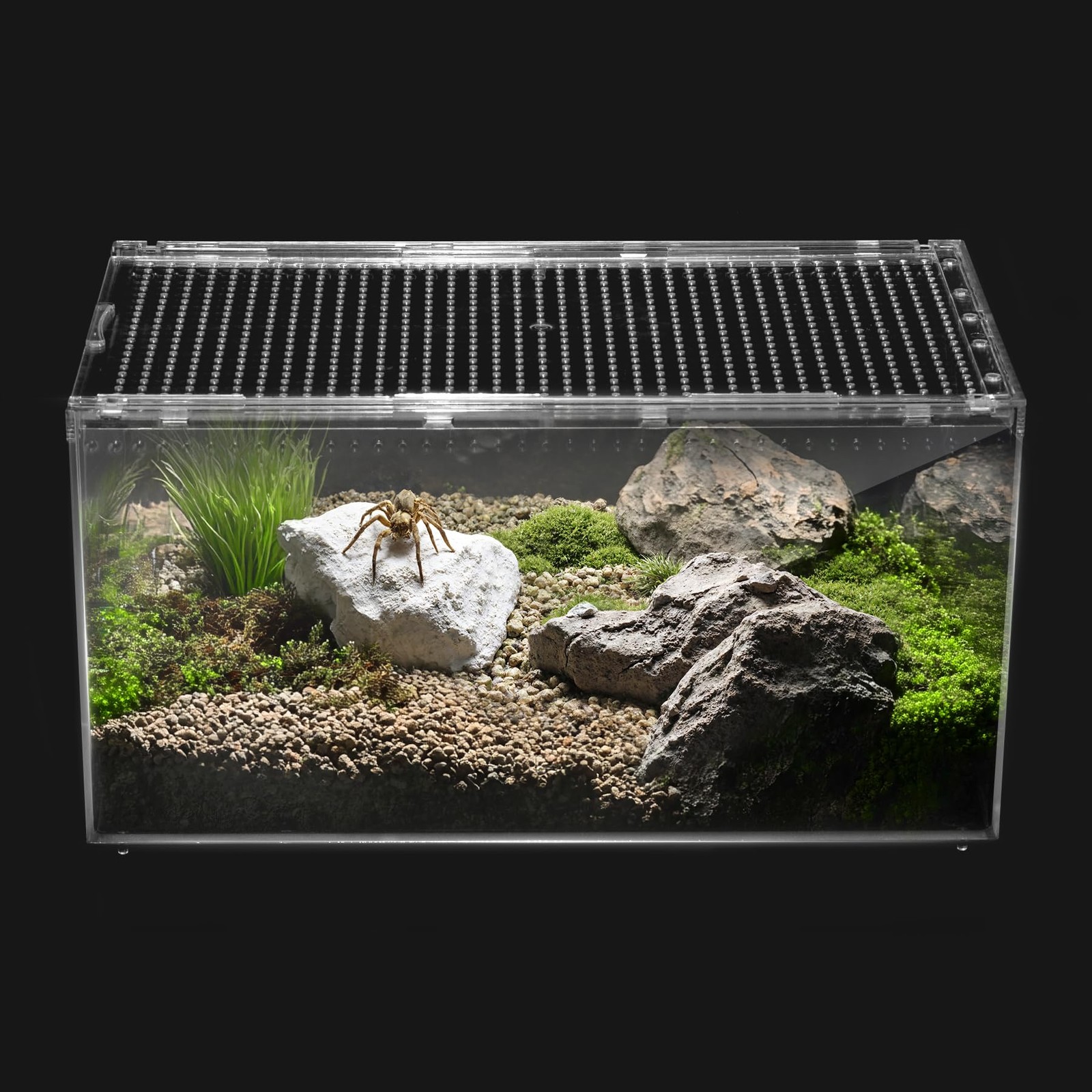 Reptile PC Terrarium,Tarantula Enclosure,Spider Tank Starter Kit,Leopard Geck...