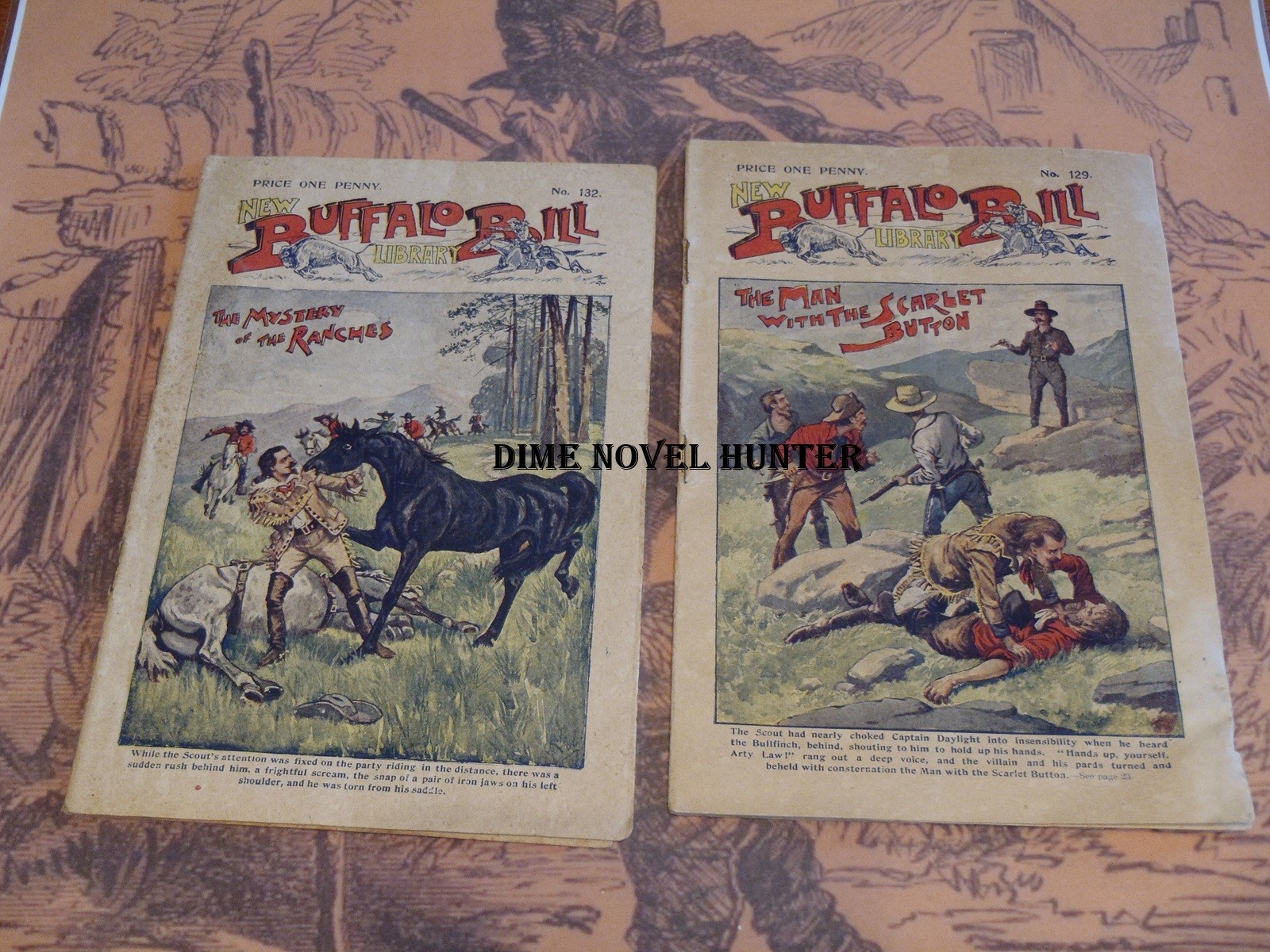 2 NEW BUFFALO BILL & 1 WILD WEST LIBRARY ALDINE PUB PENNY DREADFUL DIME NOVEL