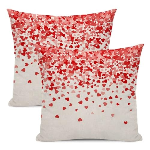 Valentine's Day Pillow Covers 18x18 Inch Set of 2, 18" x 18" (Pack of 2) Vl3