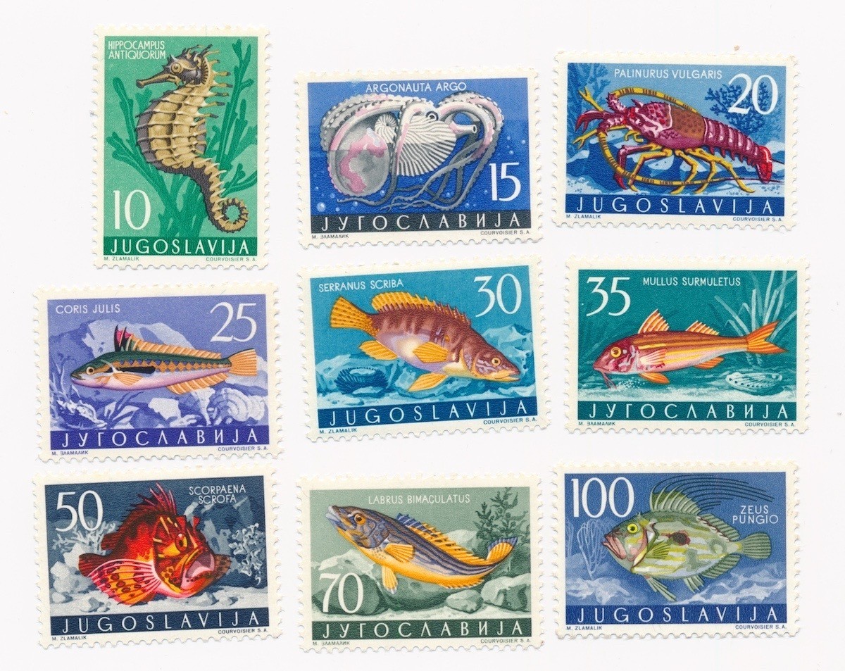 YUGOSLAVIA stamps 10 - 100 Dinara 1956 Yugoslav fauna MNH CV $68 (1)