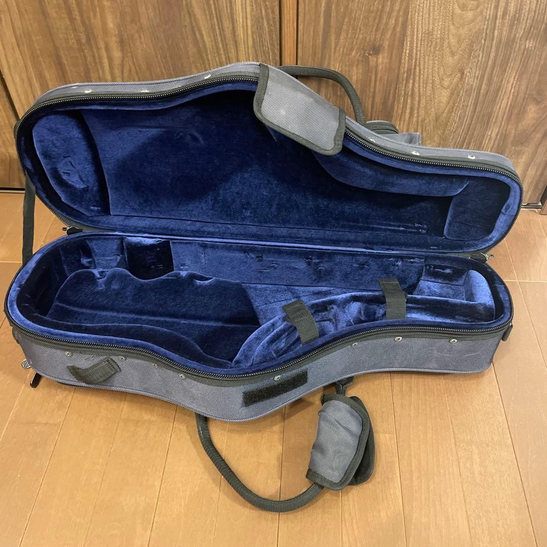 PRO-TEC Saxophone case