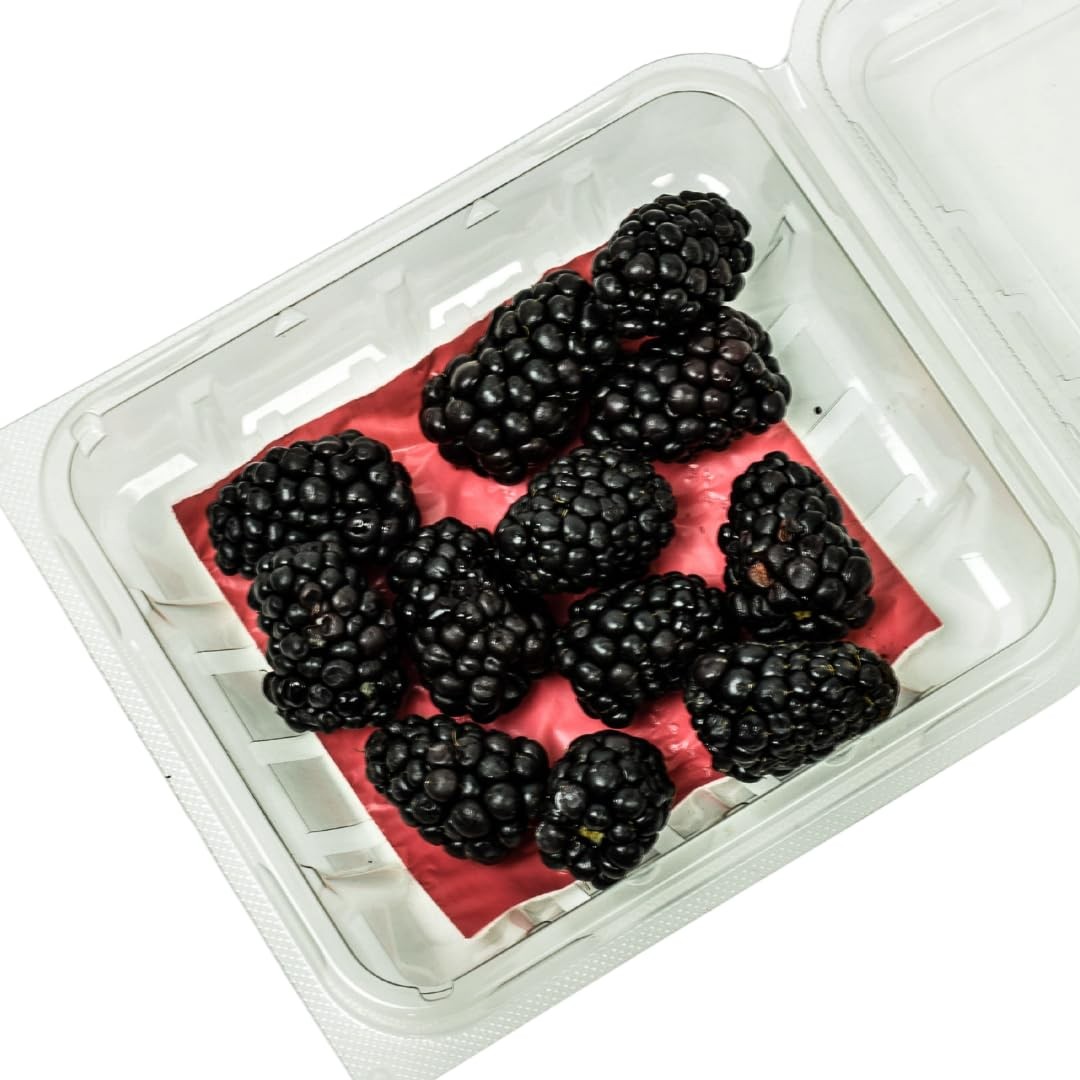 100 PCS Moisture Absorbent Pads Fruit Microgreen Plastic 3.25x3.25 Inch