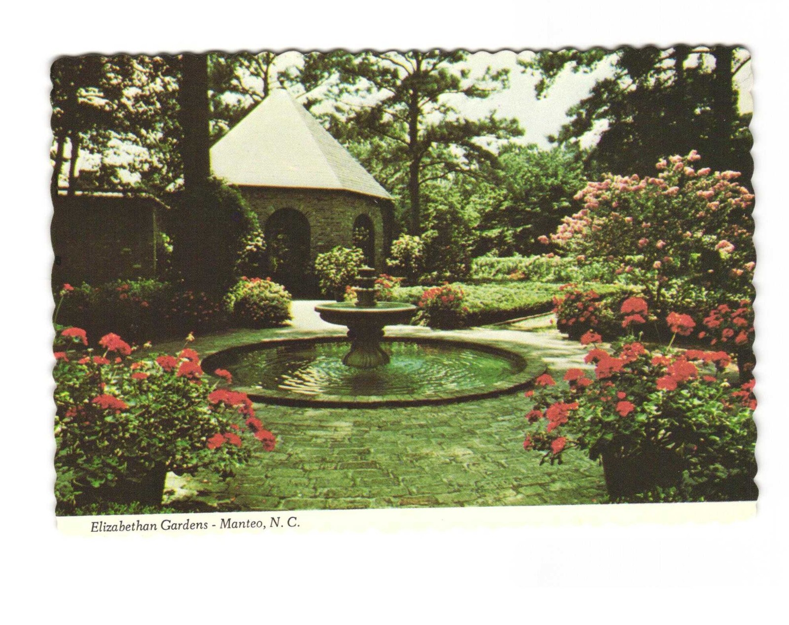 Elizabethan Gardens Manteo NC vintage postcard Unposted