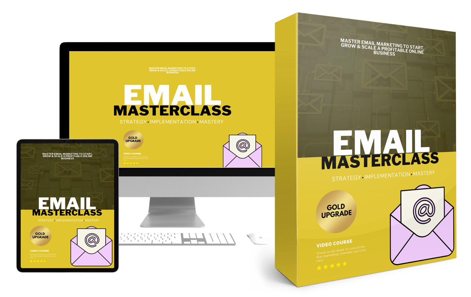 Email Masterclass Video Upgrade package; Your Shortcut To Profits (10 Videos CD)