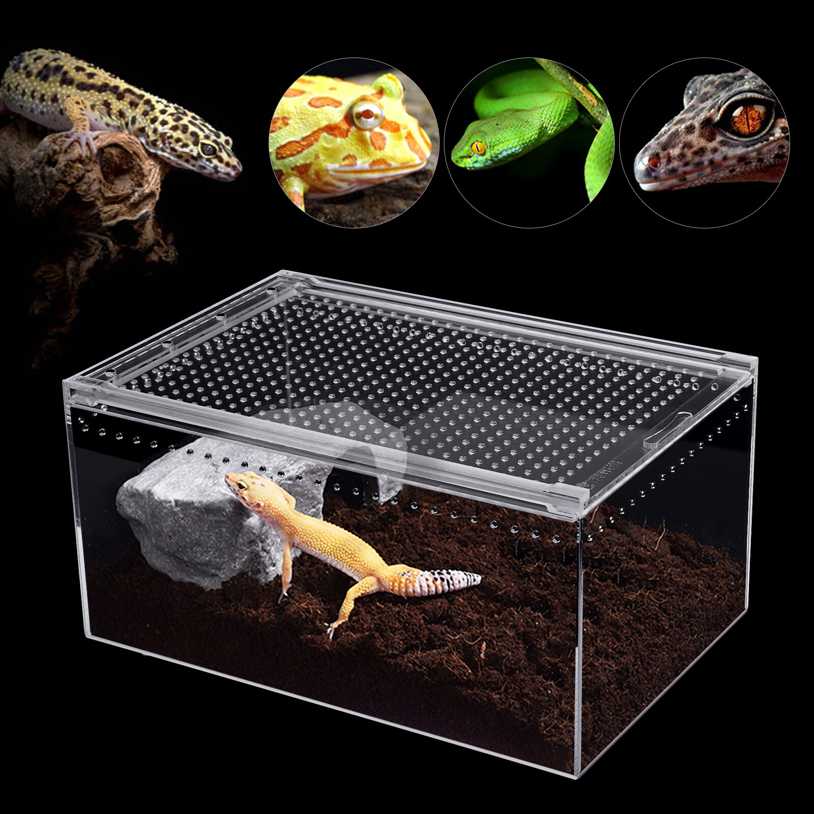 2.5 Gallon Magnetic Acrylic Large Enclosure Reptile Breeding Box Terrarium Cage