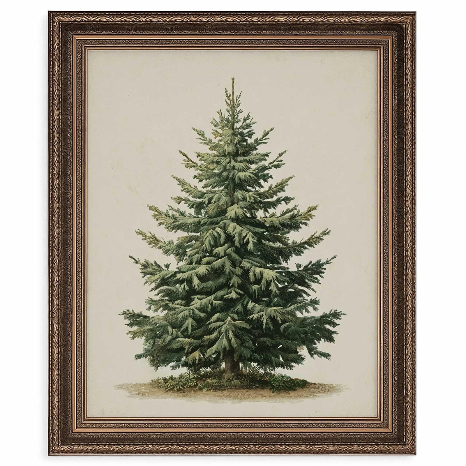 Vintage Christmas Tree Wall Art Print, Antique Botanical Pine Illustration, R...