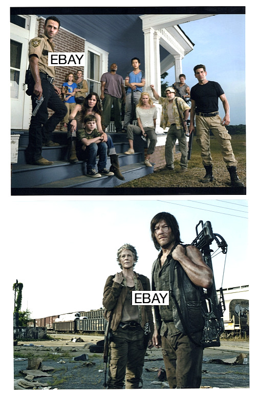 SALE: THE WALKING DEAD 2010 HORROR TV PROMO CAST PHOTOS #2 N REEDUS M McBRIDE