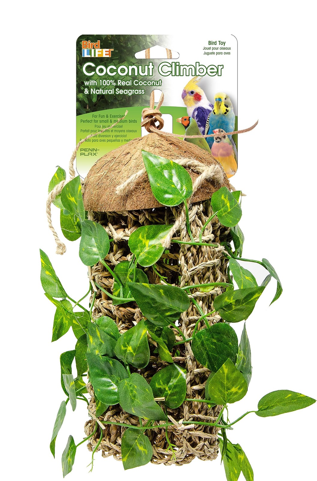 Lizard Lounger Penn-Plax Reptology for Bearded Dragons, Iguanas, Reptiles