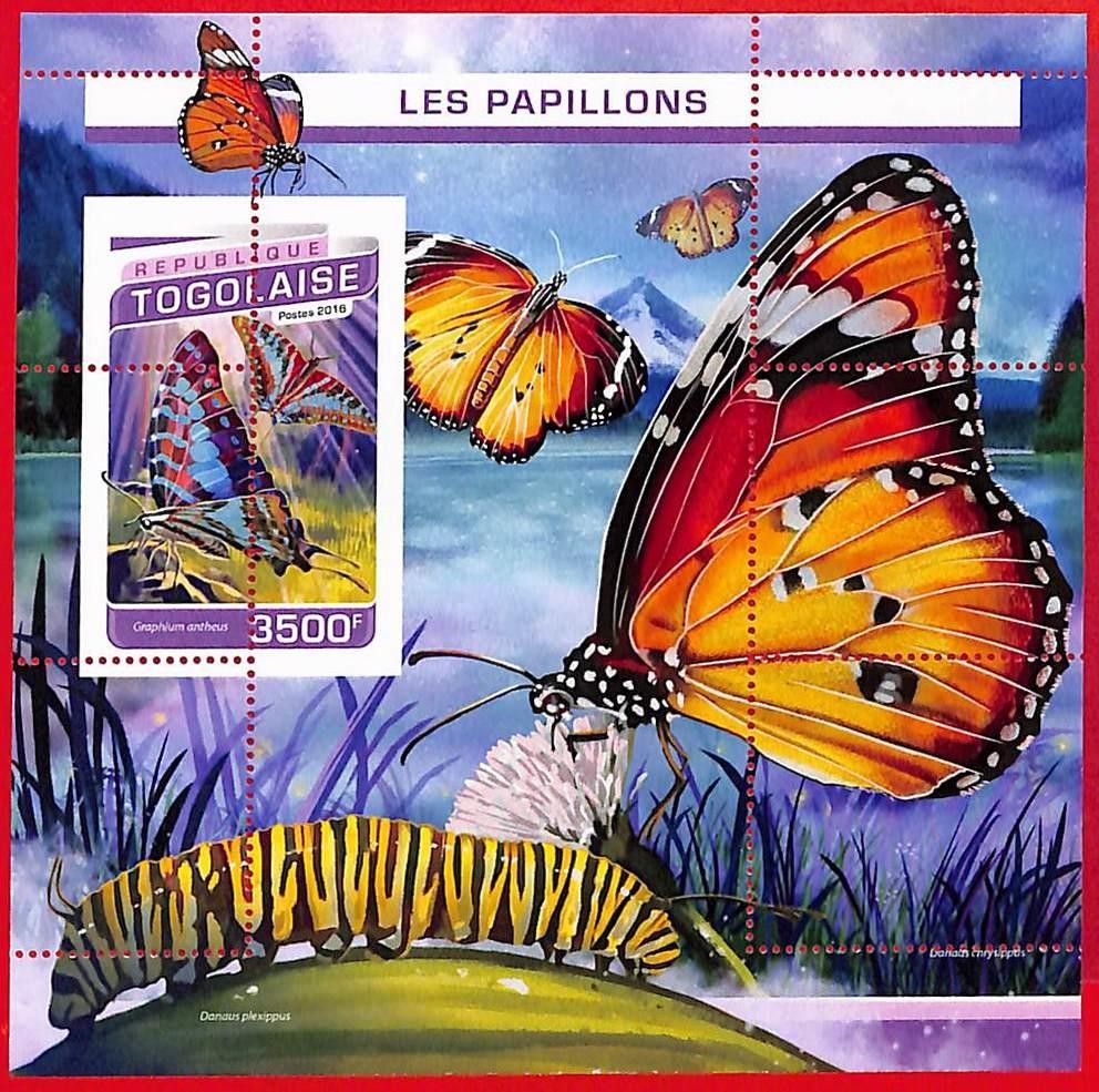 A3659 - TOGO - ERROR MISPERF Stamp Sheet - 2016 - Butterflies Insects