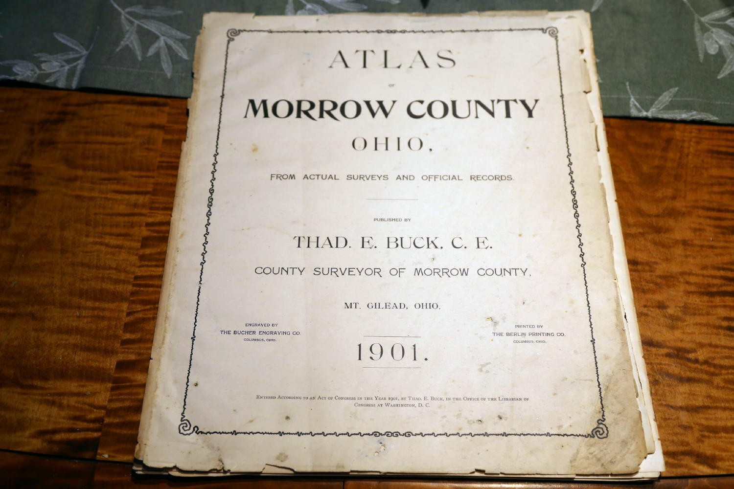 1901 BUCK'S ATLAS OF MORROW COUNTY OHIO-BEAUTIFUL DETAILED MAPS