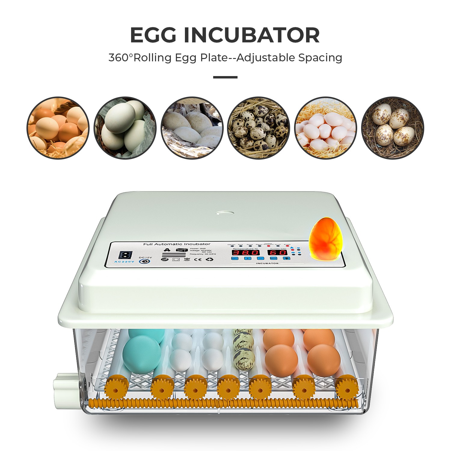 36 Egg Incubator with Automatic Egg Turning Egg Hatching Temp & Humidity Control