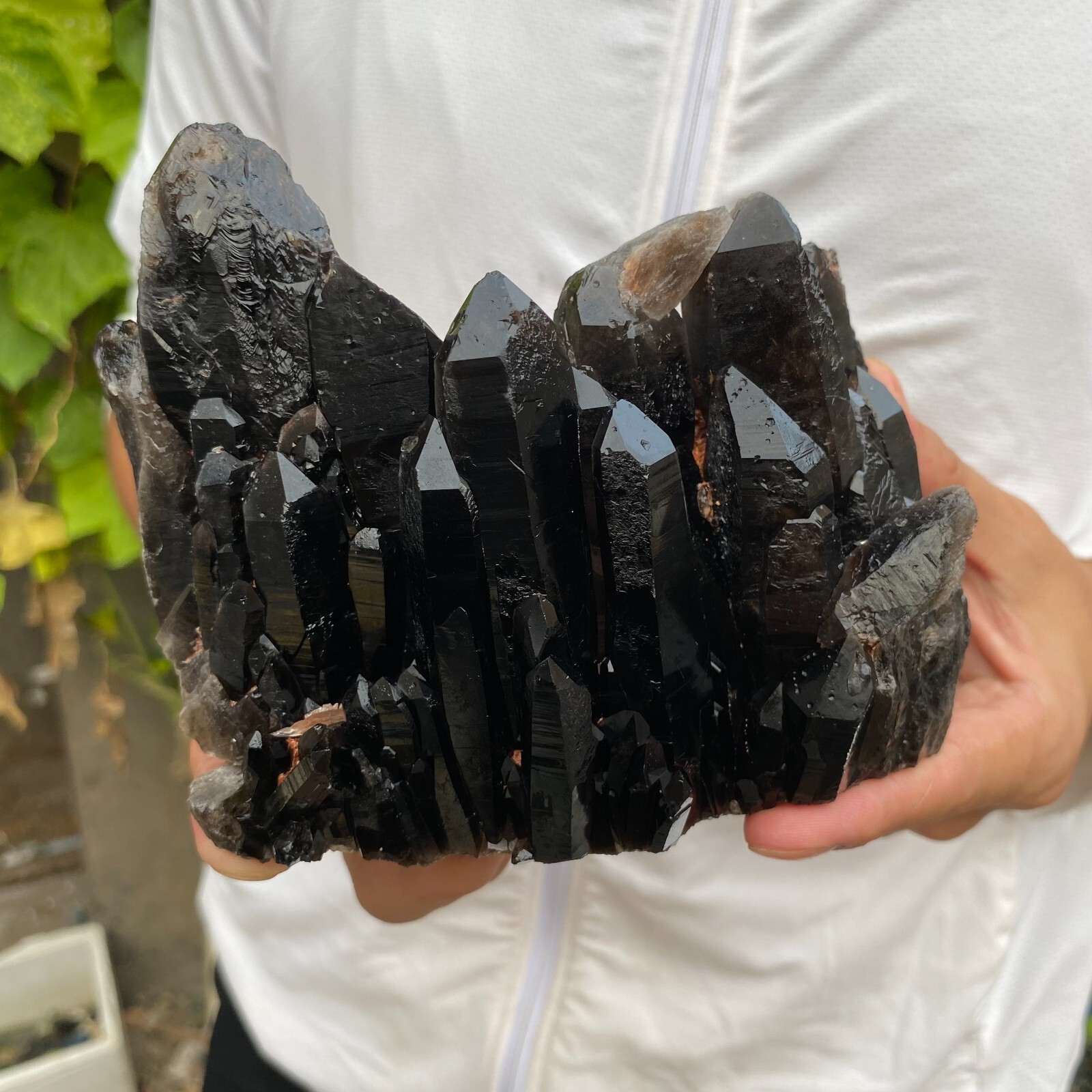 3.6lb Large Natural Black Smoky Quartz Crystal Cluster Rough Mineral Specimen