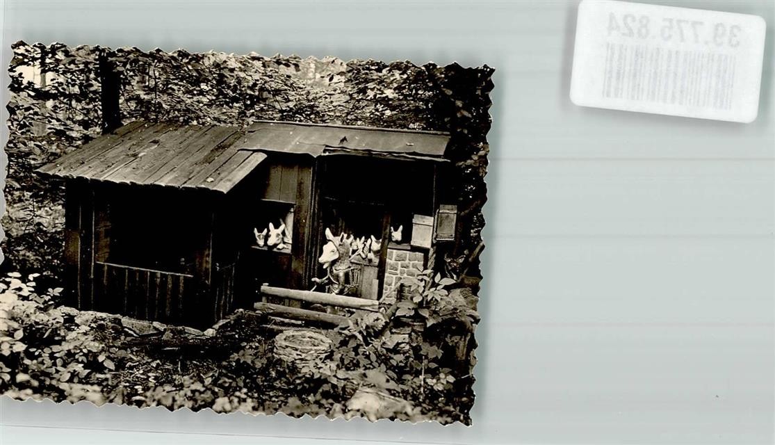 39775824 - 4520 Bakum Maerchenwald near Melle Sieben Geisslein photo original from