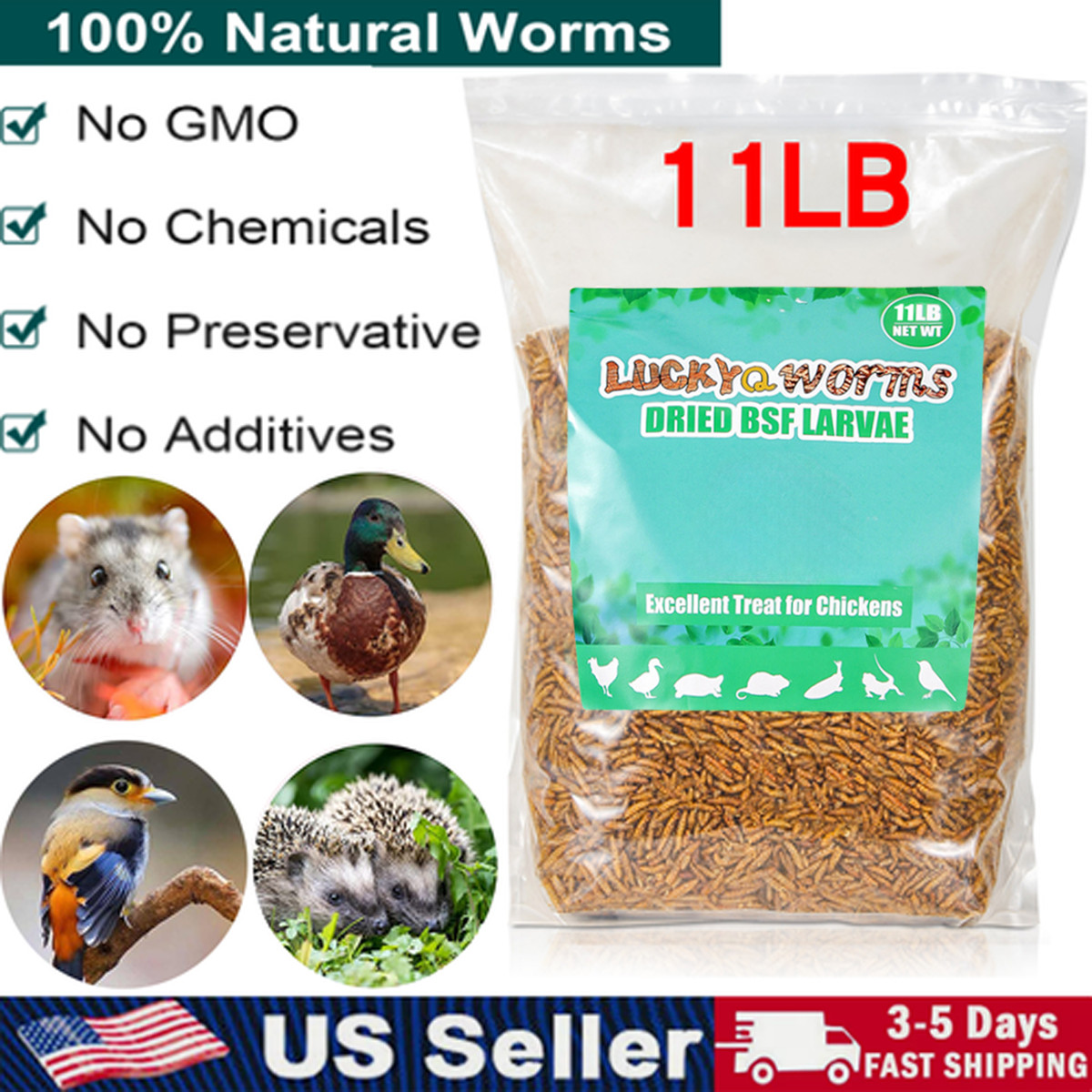 11LB Non-GMO Dried Black Soldier Fly Larvae High-Protein Worms Fit Chicken Treat
