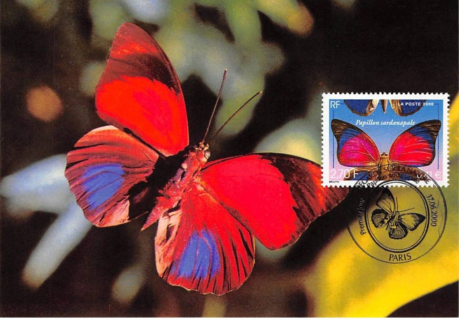 Maximum Card - FRANCE - COR12949 - 06/17/2000 - Sardanapale Butterfly - Cache