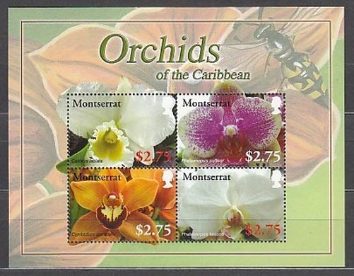 Montserrat - Mail Yvert 1303E/H ** Mnh Flowers