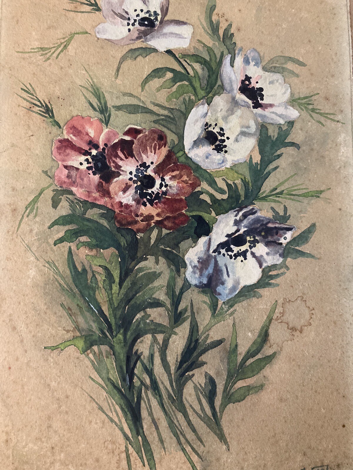 Beautiful Watercolor Gouache Paper Art Flowers Bouquet 1900 Antique Signed