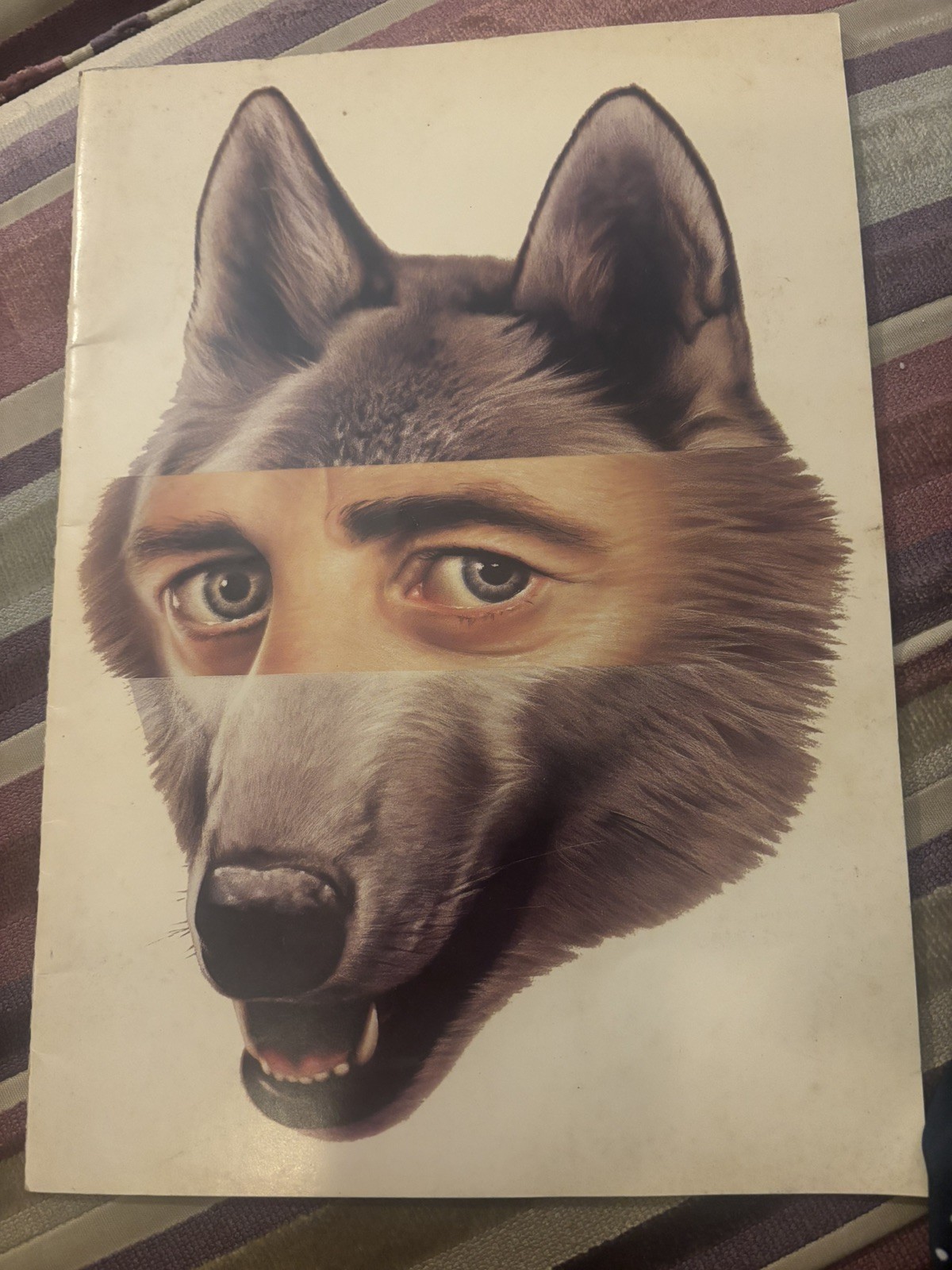  1990 Theatre Programme Into The Woods Sondheim