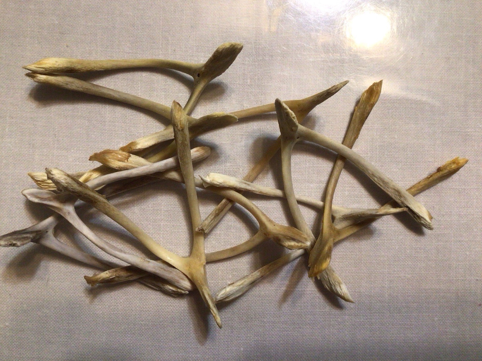 10 Chicken Wish Bones