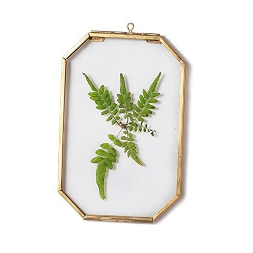  4" x 6" Small Glass Floating Frame with Chain for Artwork 4x6inches Gold