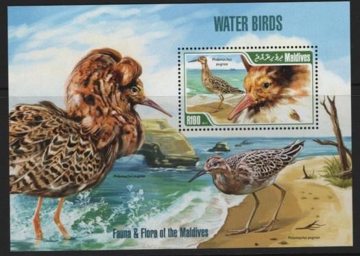 Maldives Birds 2013 Water Birds SS MNH - BIRDS26-188