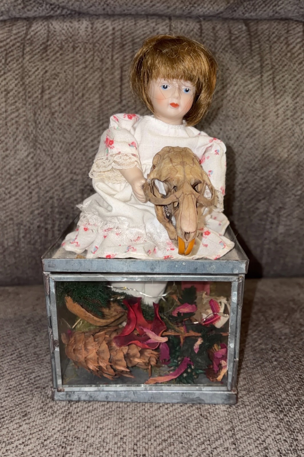 Antique Doll Holding Muskrat Skull Odiity Display Floral Box w/ Lights OOAK Odd