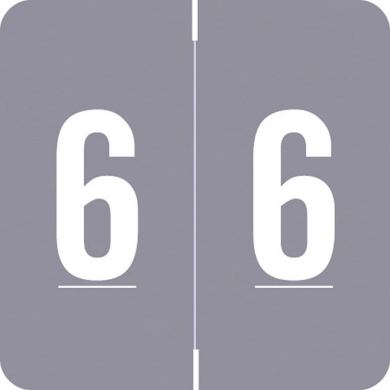 Barkley FNDBM Compatible "6" Numeric Labels, Laminated Stock, 1-1/2" x 1-1/2"