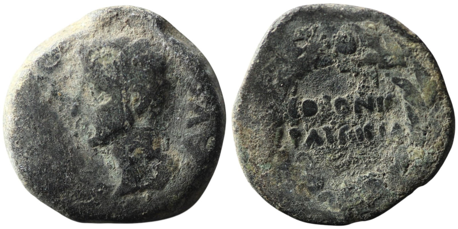 Roman Provincial Bronze Coin - Colonia Patricia Spain 27 BC-14 AD - Augustus