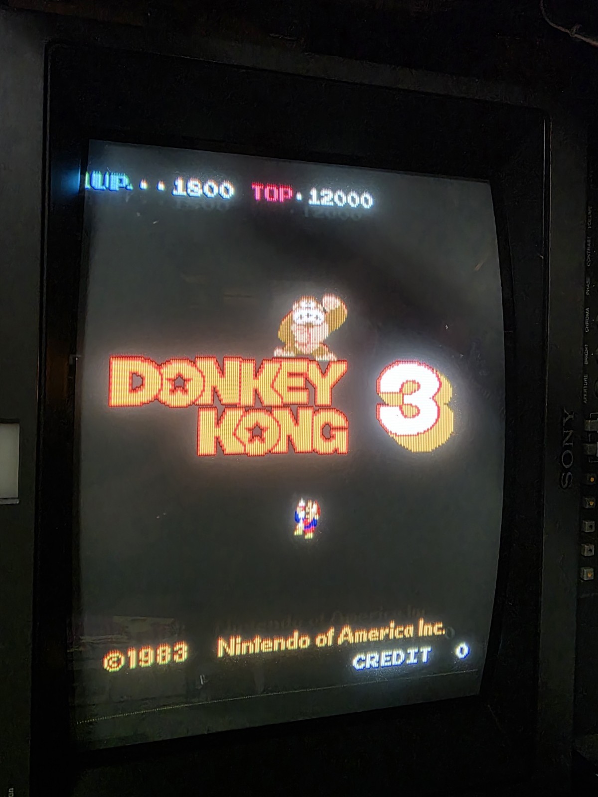 Nintendo Donkey Kong 3 Arcade PCB