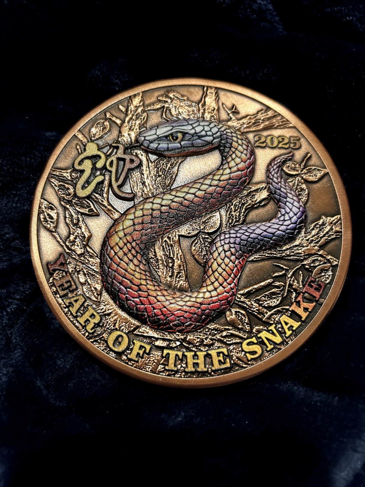 2025 “Year of the Snake” 1 KG .999 Fine Copper High-Relief Colorized Art Round 