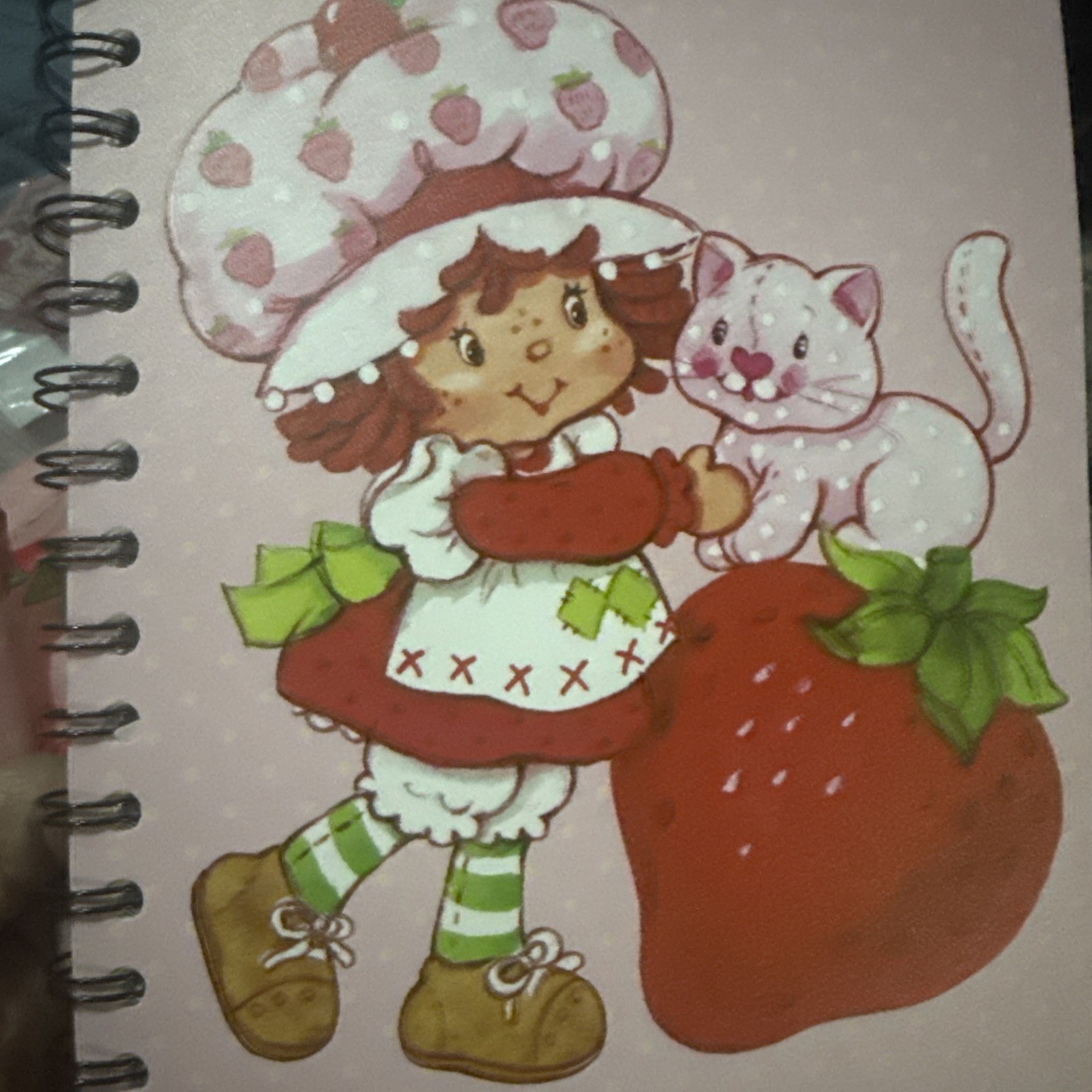 Strawberry Shortcake 4 Tabbed Notebook Spiral Journal NEW