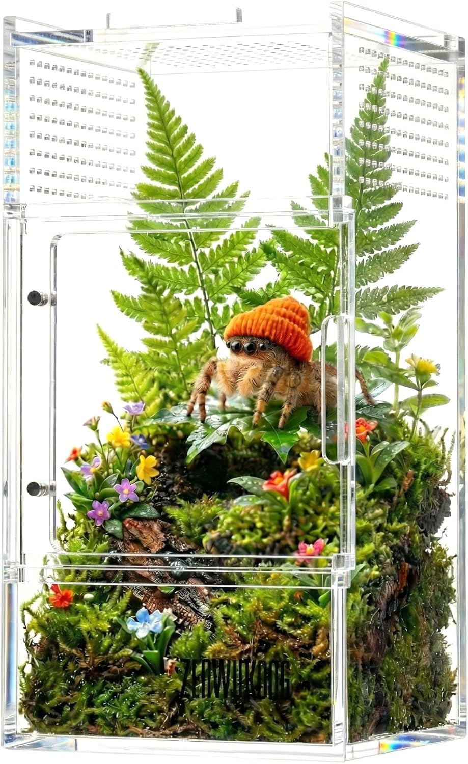 Jumping Spider Enclosure - Acrylic Terrarium Habitat for Spiders, Tarantulas, Sn