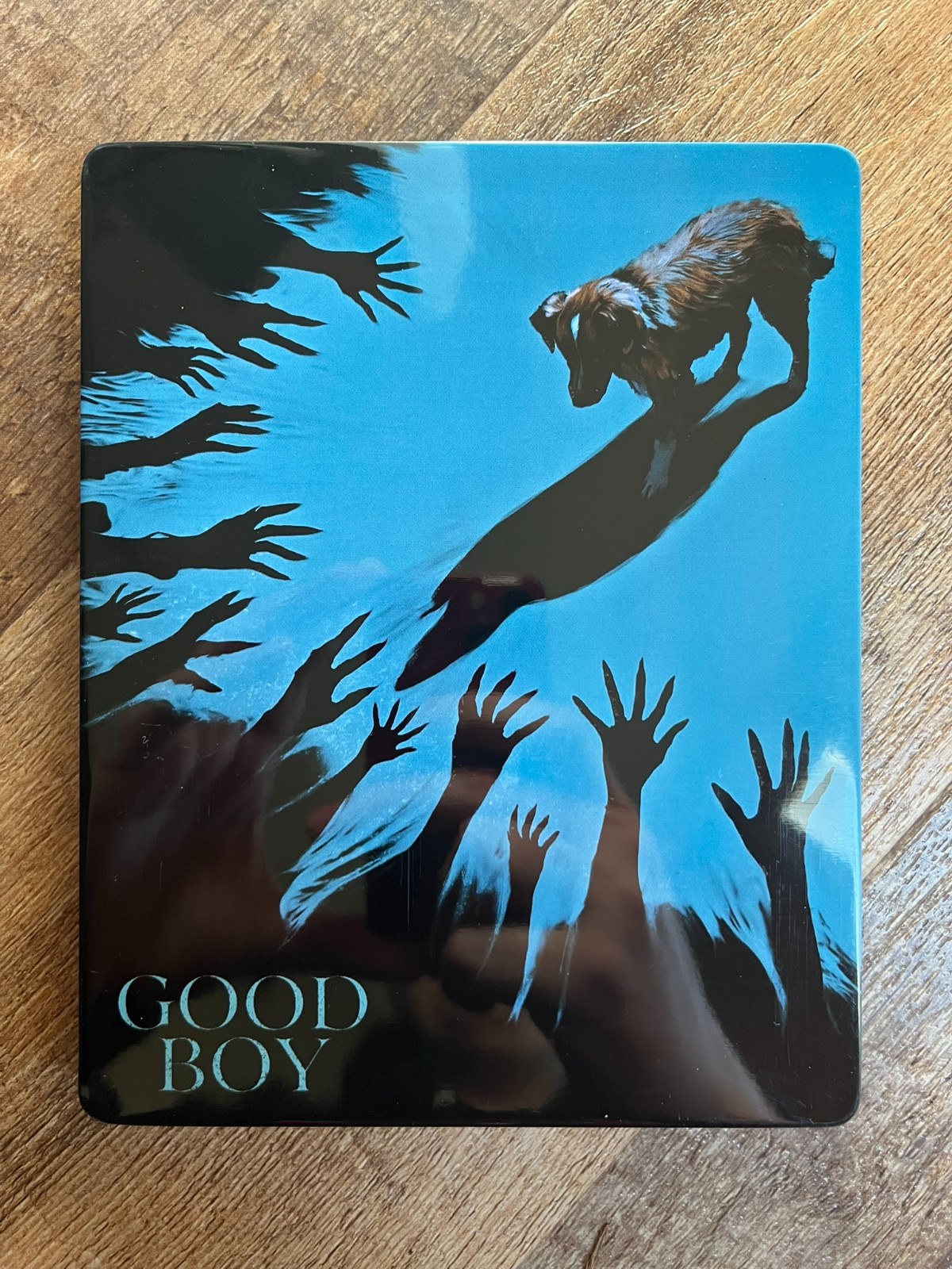 CUSTOM Good Boy 2025 Glossy Steelbook Case [G2] *NEW* NO DISC(S)