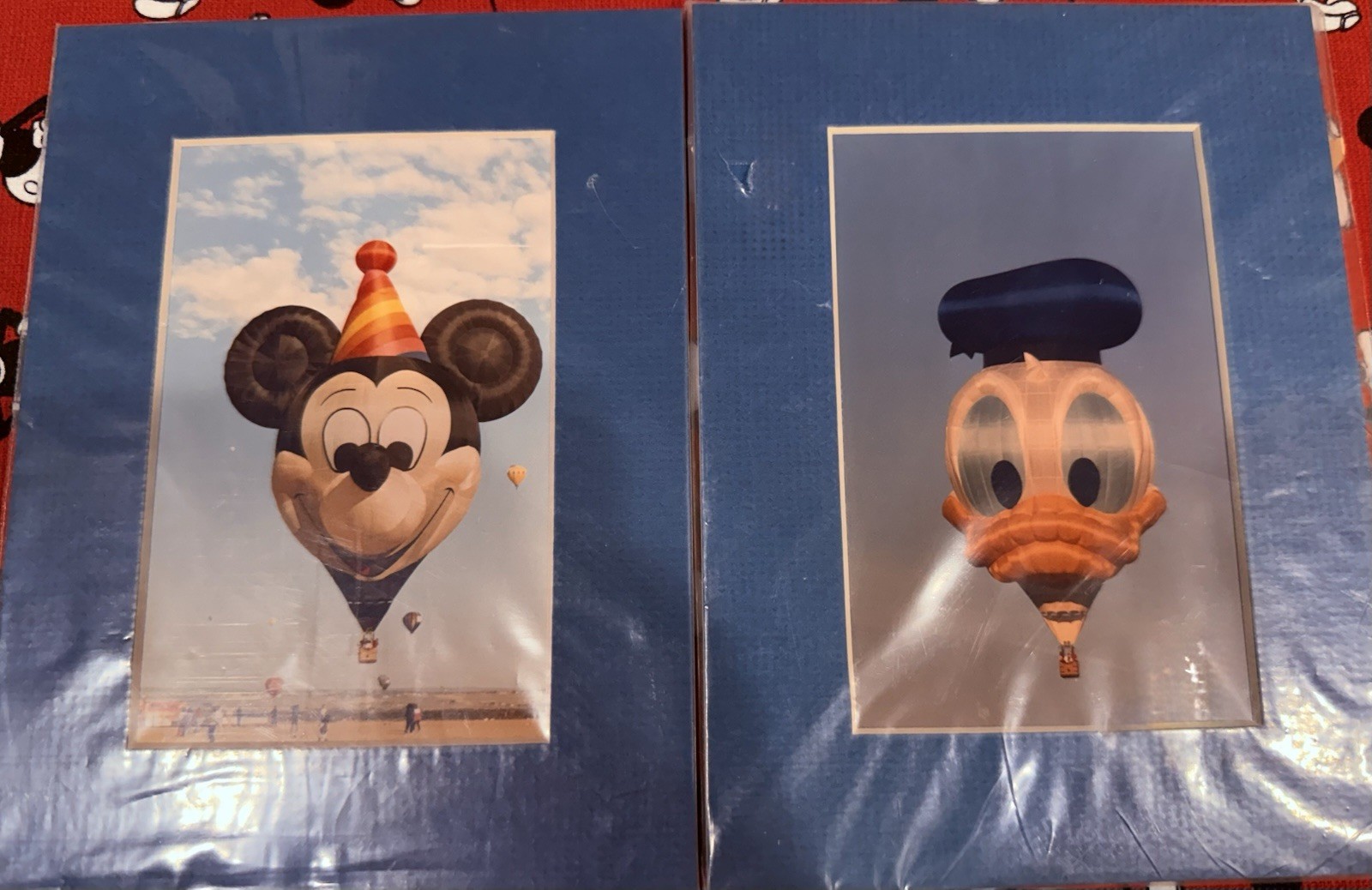 Mickey & Donald Hot Air Balloon Photos 5x7