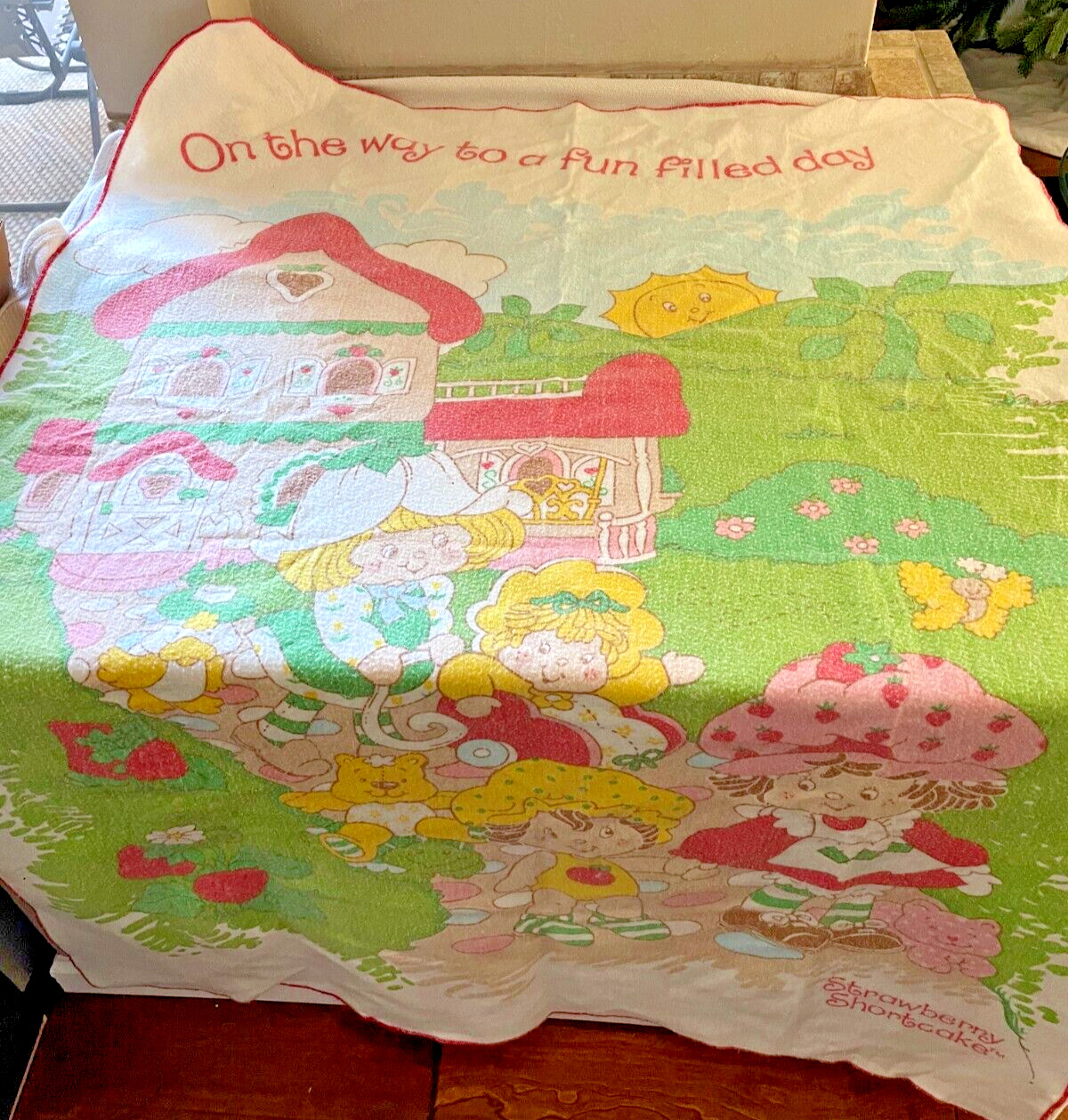 Vintage Strawberry Shortcake Throw Blanket American Greetings 66" x 46" READ