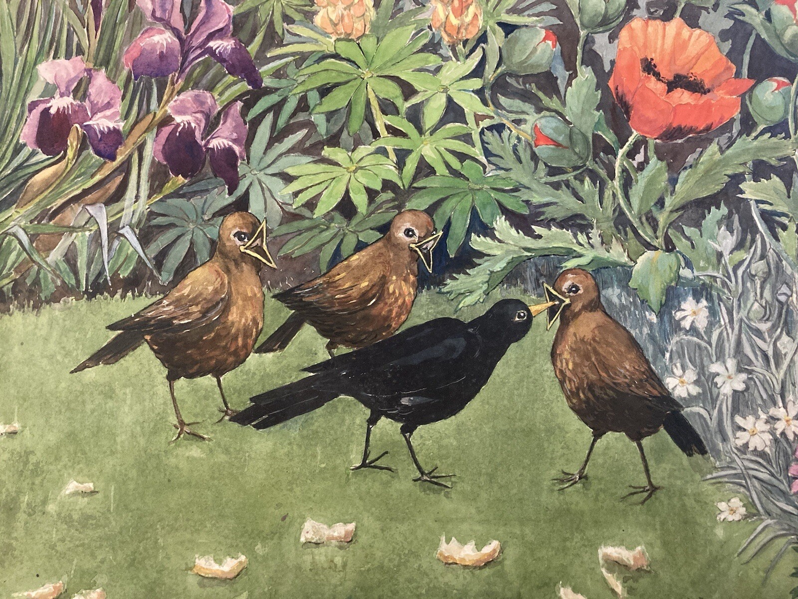 Beau Dessin 1960 Peinture Papier Gouache Agnès Bradley Oiseau Fleur Jardin Art